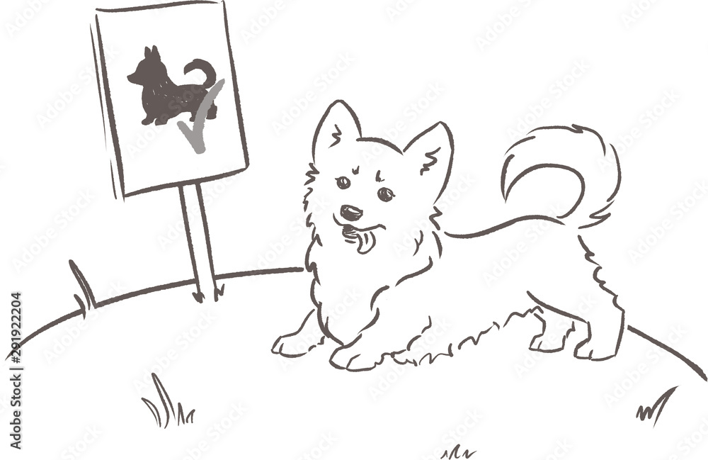 Shama the corgi  on a dog playground. Dog behaviour and rules for owners. Hand drawn outline illustration.