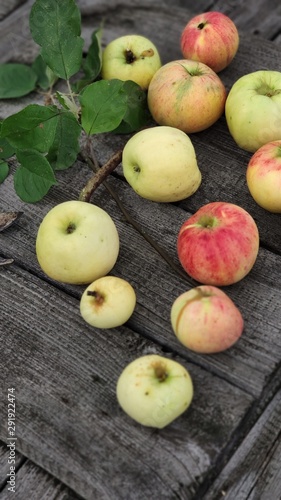 Selective focus. Red and yellow Ripe apples on a background of old gray boards. top view, flatlay, layout, still life with fruit