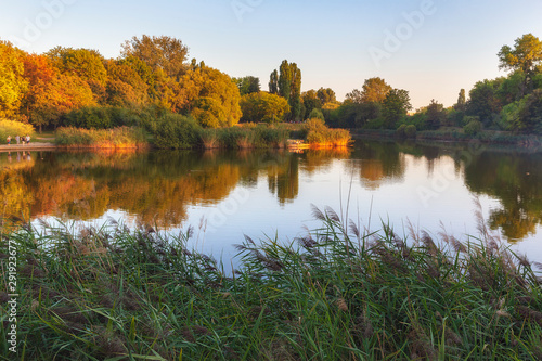 Resting people on the shore of a beautiful pond.