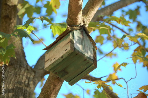 The shadow of a maple leaf on an old, abandoned birdhouse.