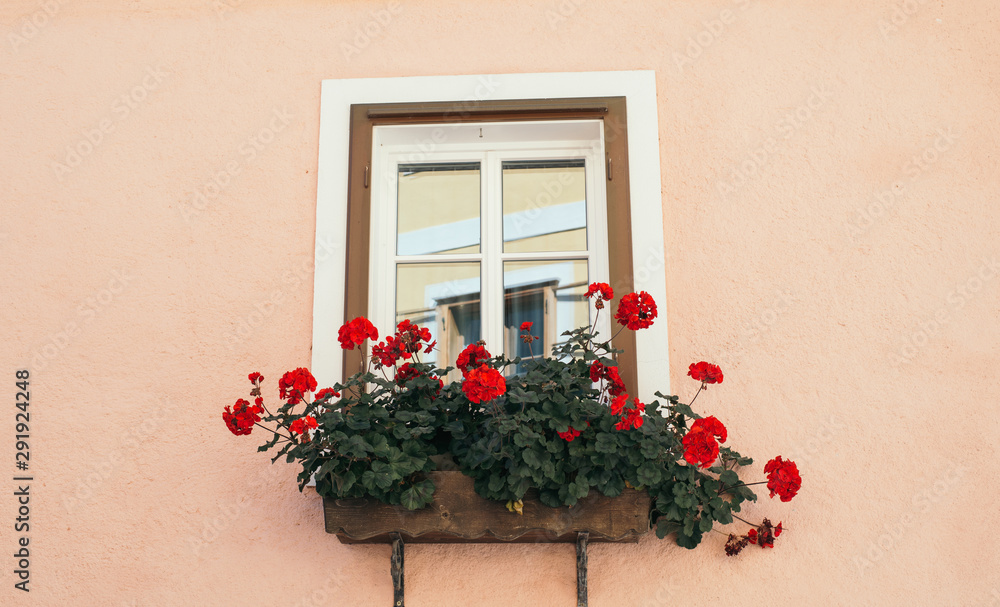 Beautiful window with flower box and shutters. Pink wall with red flowers