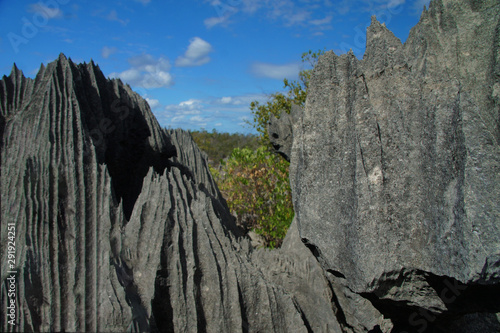 Tsingy de Bemaraha Nature Reserve Rippled Rock Formations