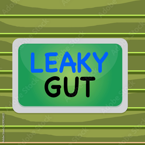 Conceptual hand writing showing Leaky Gut. Concept meaning A condition in which the lining of small intestine is damaged Board rectangle white frame empty fixed color surface plank