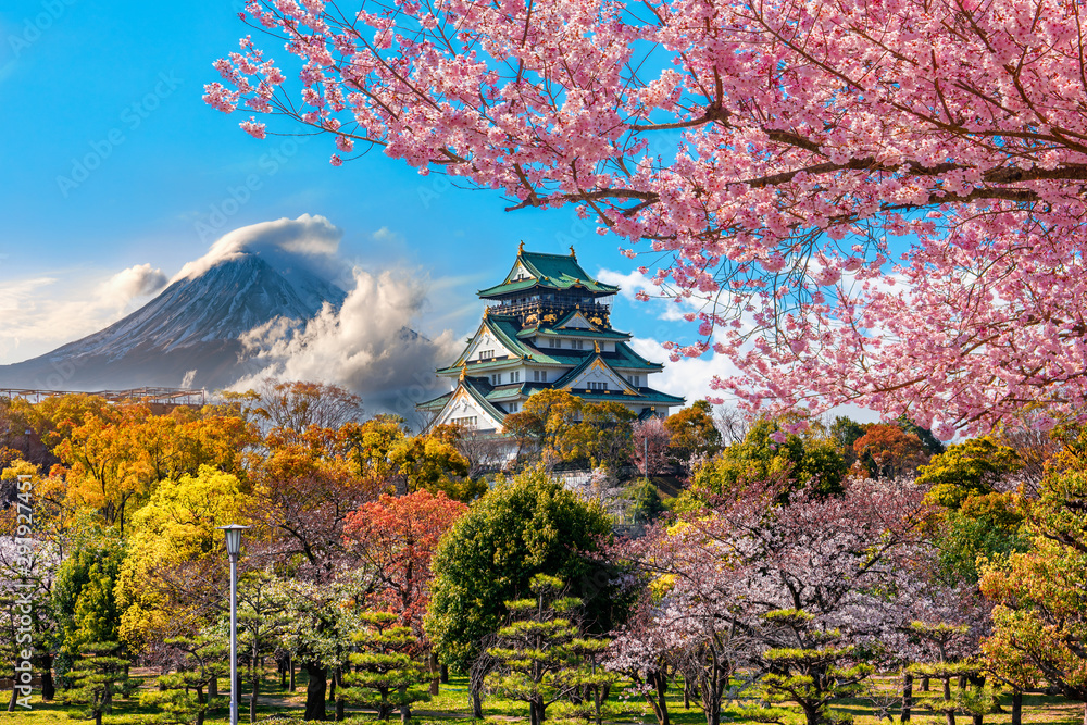 Naklejka premium Zamek Osaka i kwitnące wiśnie na tle góry Fuji, Japonia.