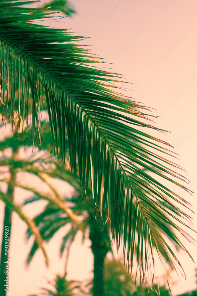 Fototapeta premium Tropical Island Beach Vacation Background with Copy Space