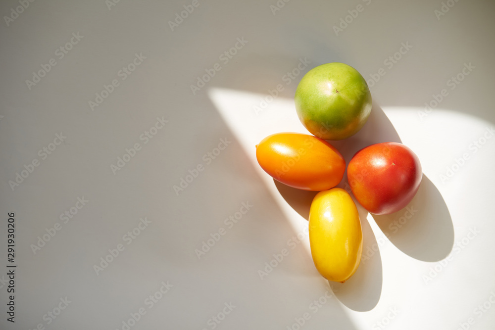 Multicolored tomatoes on white background in harsh sunlight, copy space Multicolored tomatoes on white background in harsh sunlight, copy space