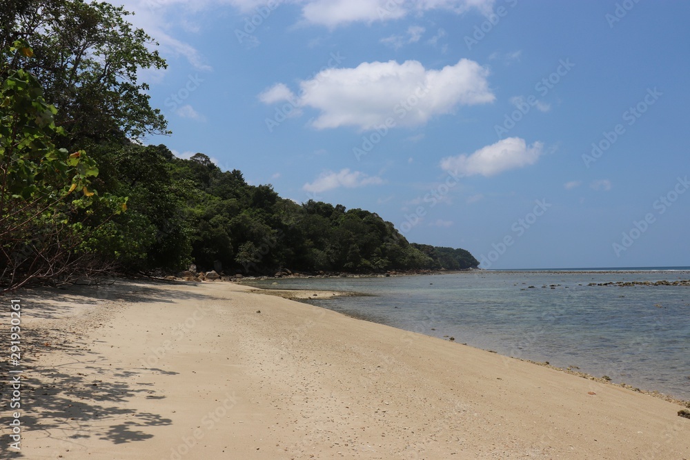 Wild tropical beach, scenic view on sandy coast, jungle, blue ocean and sky with white clouds. Seascape on Phuket, Thailand Wild tropical beach, scenic view on sandy coast, jungle, blue ocean and sky with white clouds. Seascape on Phuket, Thailand