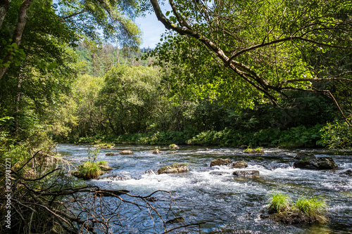 Arc natural Fragea de Eume, Galice, Espagne.
