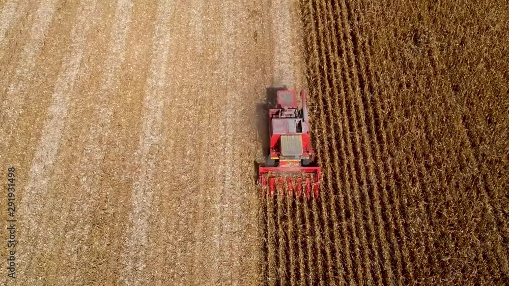Harvesting corn in autumn Aerial top view. Harvesting corn in autumn Aerial top view.