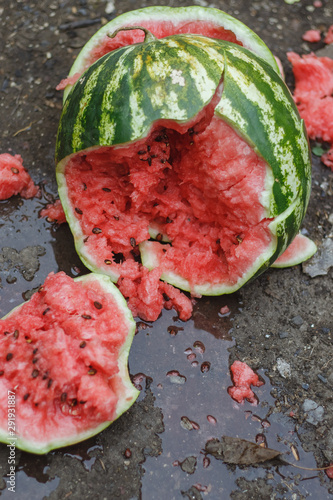 Watermelon fell on the ground, black background.
