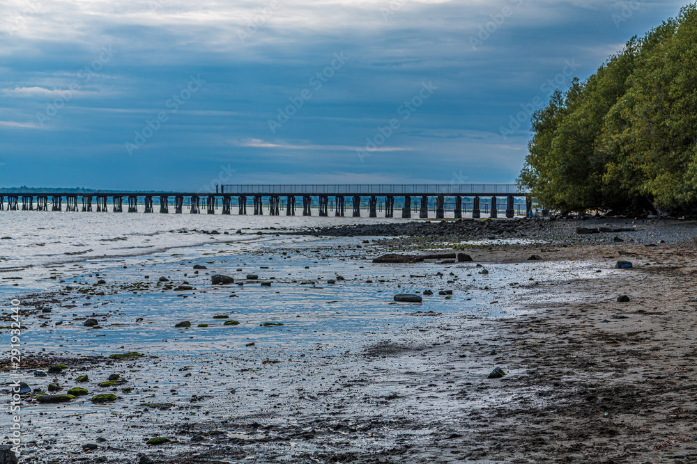 Late Afternoon Low Tide on Bellingham Bay by Abandoned Pier