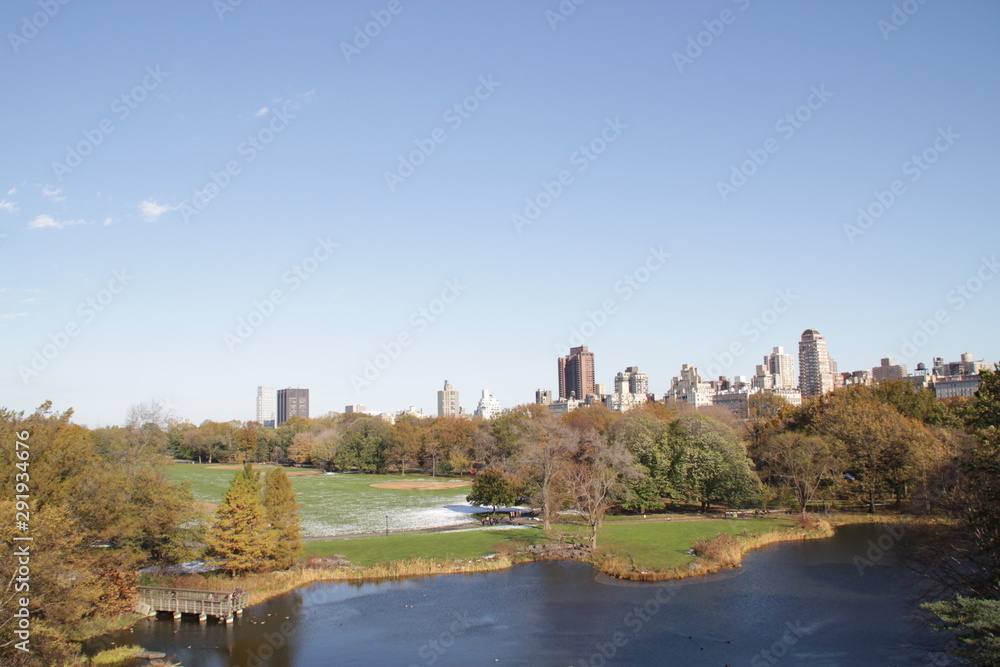 Central Park view with a lake and cityscape