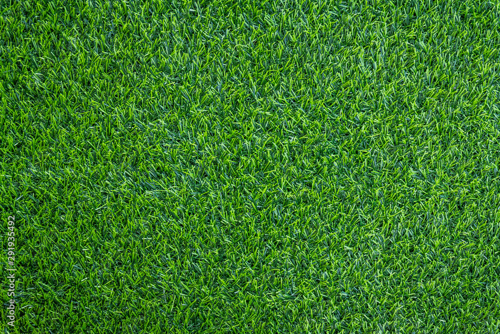 Obraz premium green grass background texture