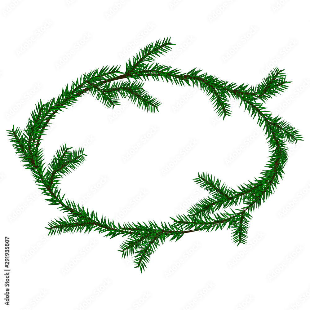 wreath of green spruce branches on a white background wreath of green spruce branches on a white background