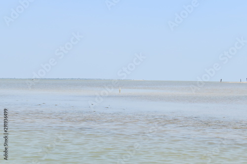 Sea view tropical beach with sunny sky in pulicat lake