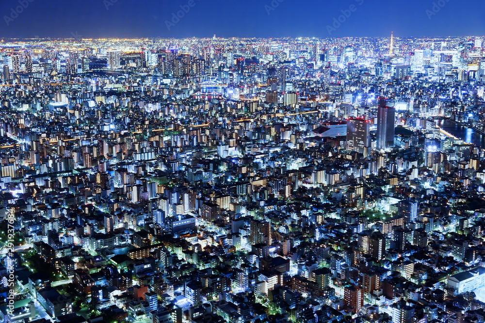 Tokyo cityscape at night in Japan