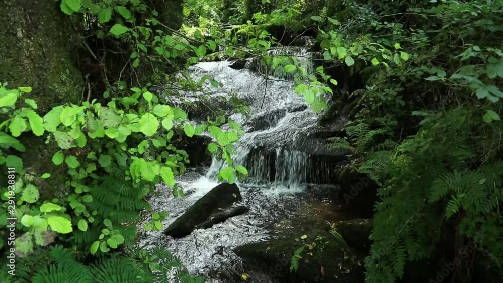 Panoramic beautiful deep forest waterfall in Galicia Panoramic beautiful deep forest waterfall in Galicia