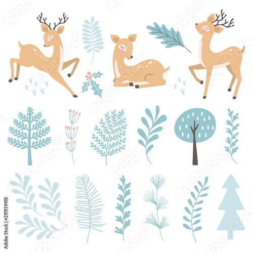 Set with christmas deer and branch, leaves. Vector