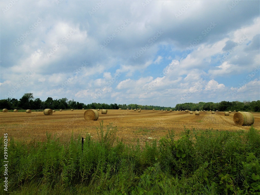 Large field of round bales of hay under cloudy sky