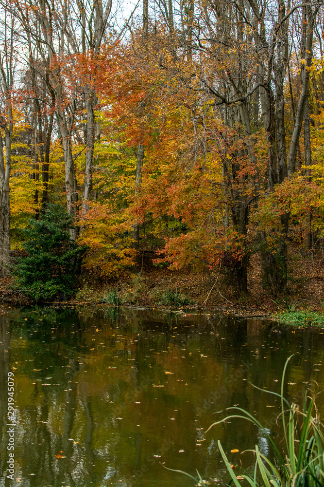 Fall on Lake