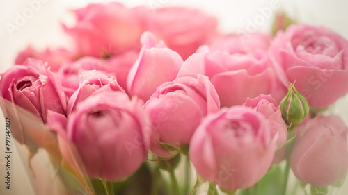 Fototapeta Naklejka Na Ścianę i Meble -  Bouquet of pale delicate peony roses wrapped in cellophane
