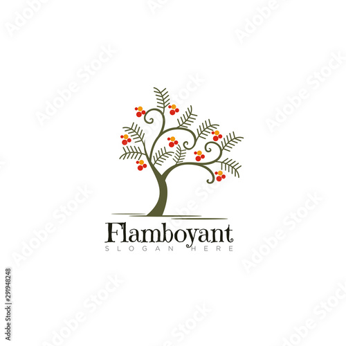 logo flamboyant, elegance tree vector