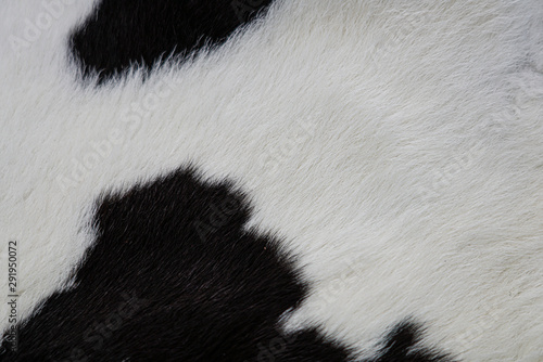 texture of fur cow skin leather