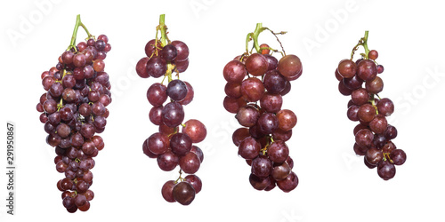 The collection of Seedless grape isolated on white background.