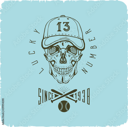 vector skull in the baseball cap logo