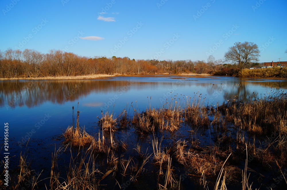 lake in autumn SC 00 lake in autumn SC 00