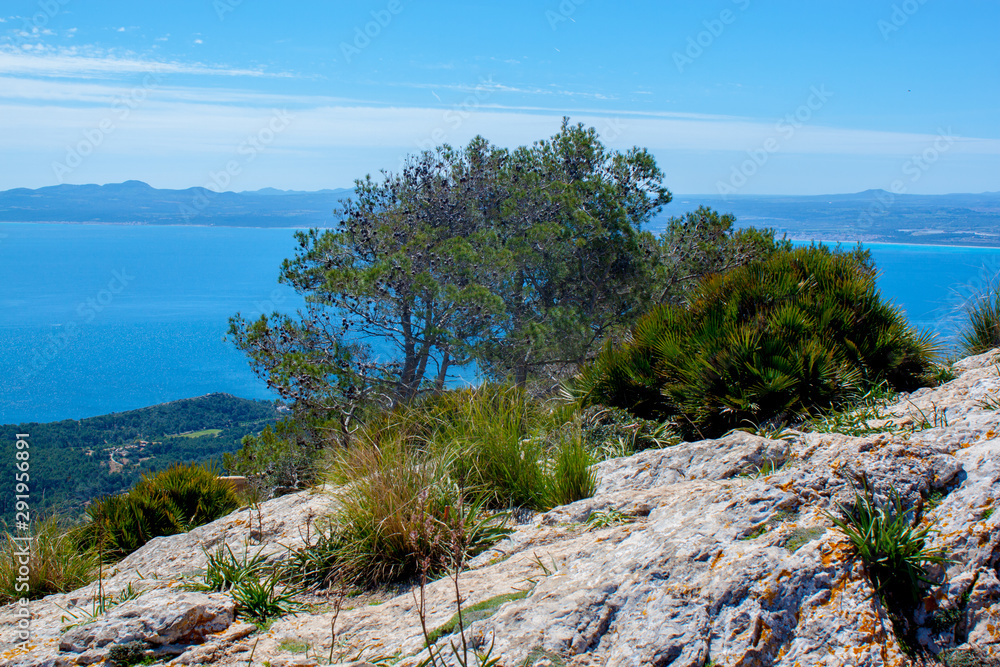 Mallorca panorama view with Mountains and green forest and Mediterranen sea and blue sky 