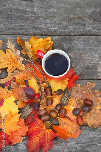 Autumn Background with tea cup and colourful leaves over wooden board. Thanksgiving wooden table with bright autumn leaves, cones, acorns. Autumn season concept, fall backdrop. copy space © Ju_see