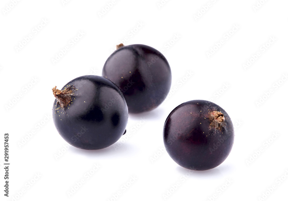 Black currant berries on White Background isolated Black currant berries on White Background isolated