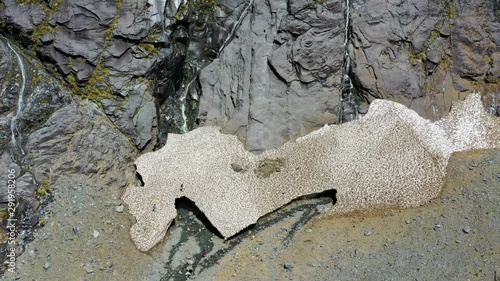 Aerial view of melting glacier in Gertrude Valley, New Zealand photo