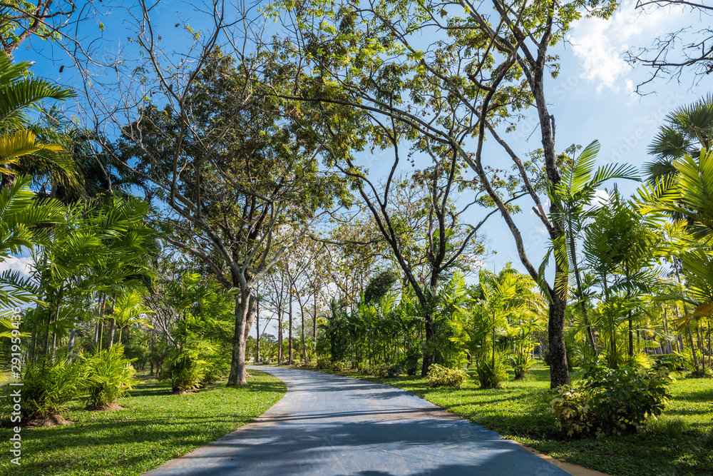 Obraz premium Footpath in Public Park