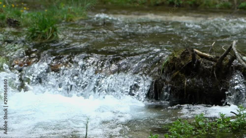 Little waterfall in the river flow in the forest, slow motion Little waterfall in the river flow in the forest, slow motion
