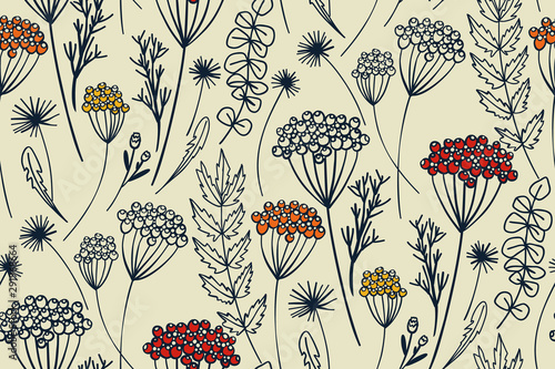 Natural rustic background with flowers and herbs hand drawn