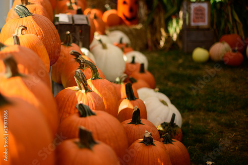 Pumpkins