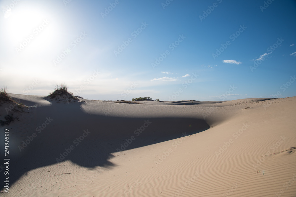 Sand dunes 