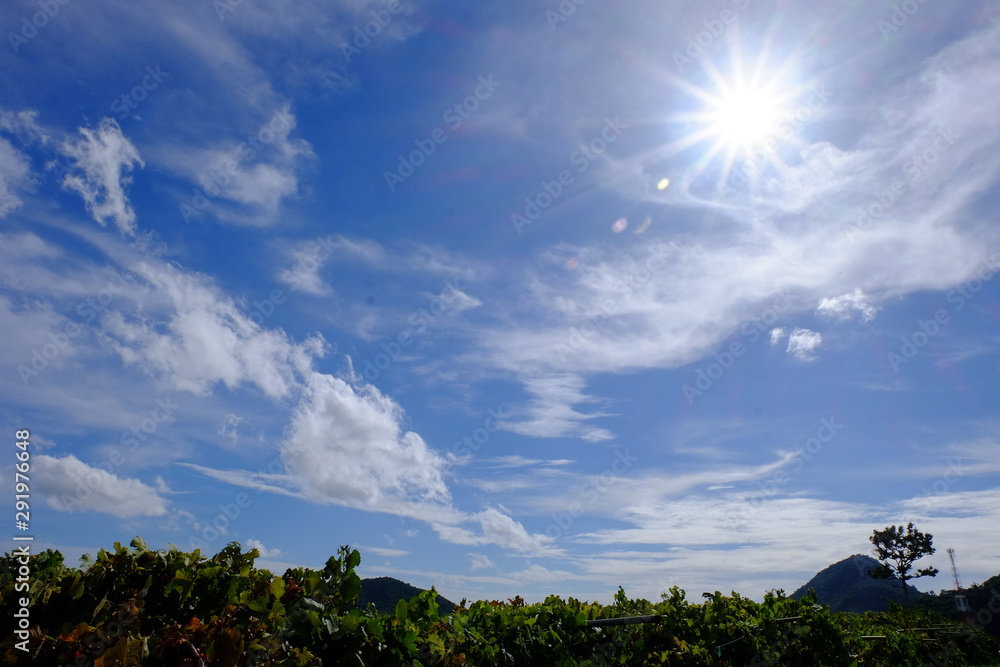Obraz premium Beautiful sky and beautiful clouds. 