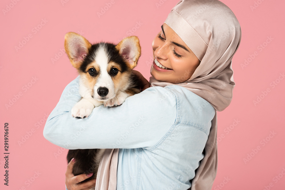 muslim woman in hijab holding Welsh Corgi puppy, isolated on pink