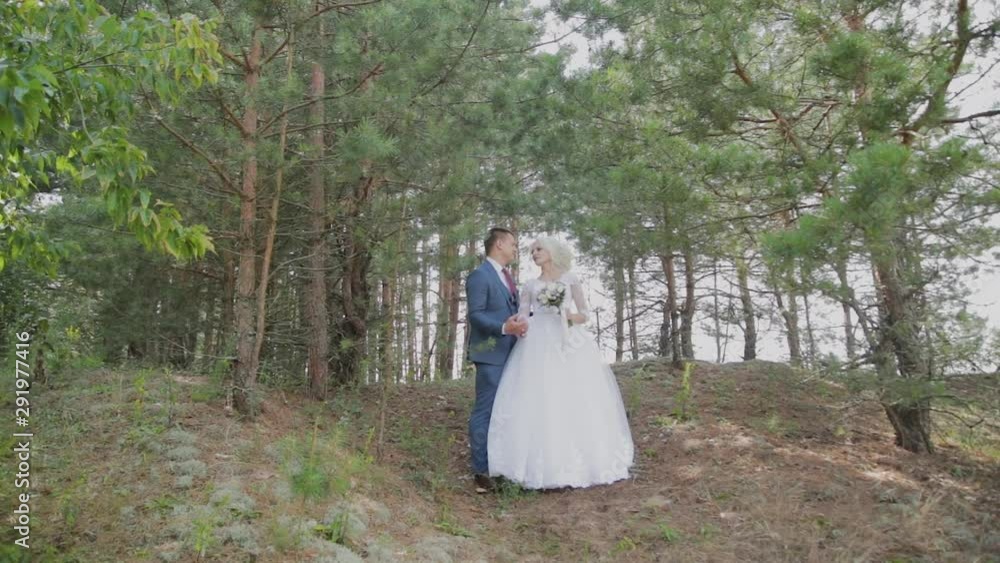 Very beautiful bride and groom hold hands and hug in the forest. Very beautiful bride and groom hold hands and hug in the forest.