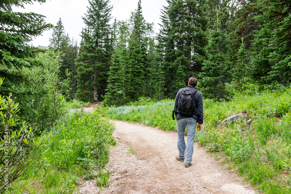 Albion Basin, Utah summer trail in 2019 season in Wasatch mountains with man walking with backpack on dirt road Albion Basin, Utah summer trail in 2019 season in Wasatch mountains with man walking with backpack on dirt road