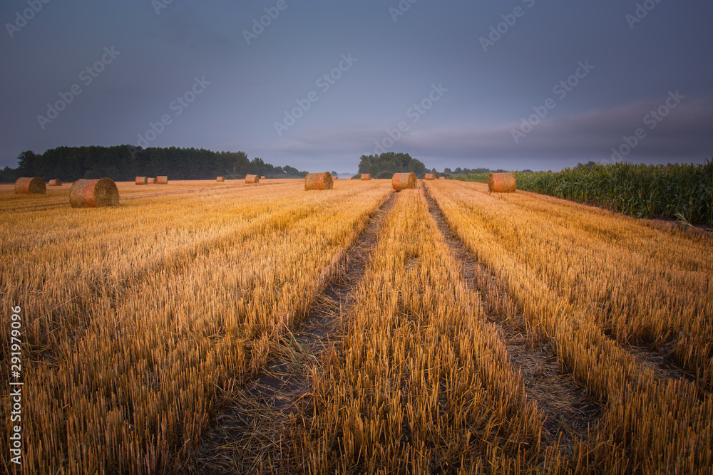 Technological path in the stubble, sky after sunset