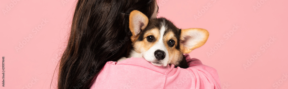 brunette woman holding cute Corgi puppy, isolated on pink brunette woman holding cute Corgi puppy, isolated on pink