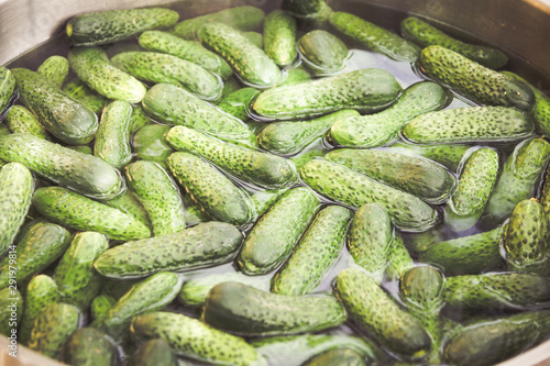 Preparing Pickled cucumbers in vinegar 