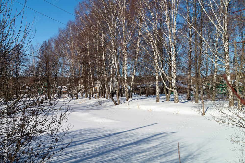 Village in birch wood in winter