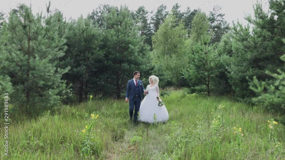 Very beautiful bride and groom hold hands and hug in the forest. Very beautiful bride and groom hold hands and hug in the forest.