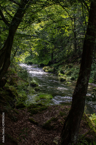 View from the wild Edmunds Gorge in Bohemian Switzerland near the town of Decin, Czech Republic