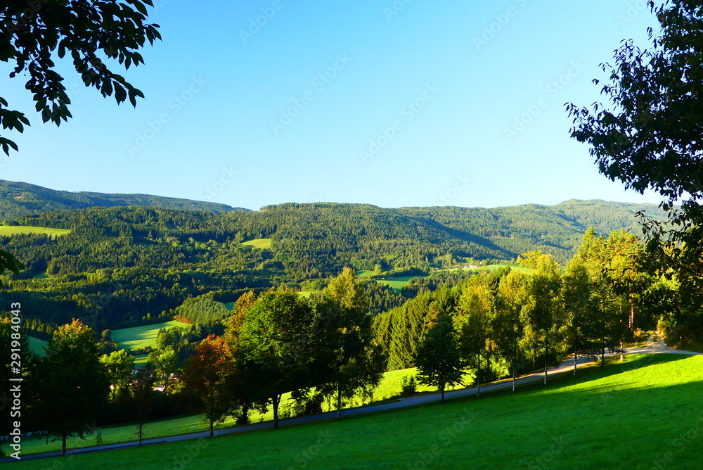 niederösterreichische Waldlandschaft